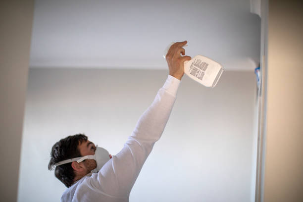 Best Home Mold Removal  in Mountain City, TN