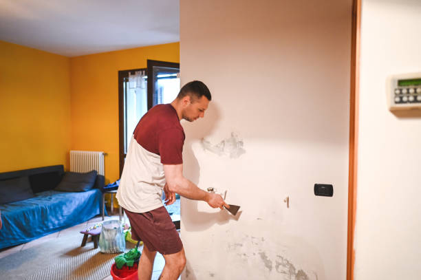 Best Local Mold Removal Service  in Mountain City, TN